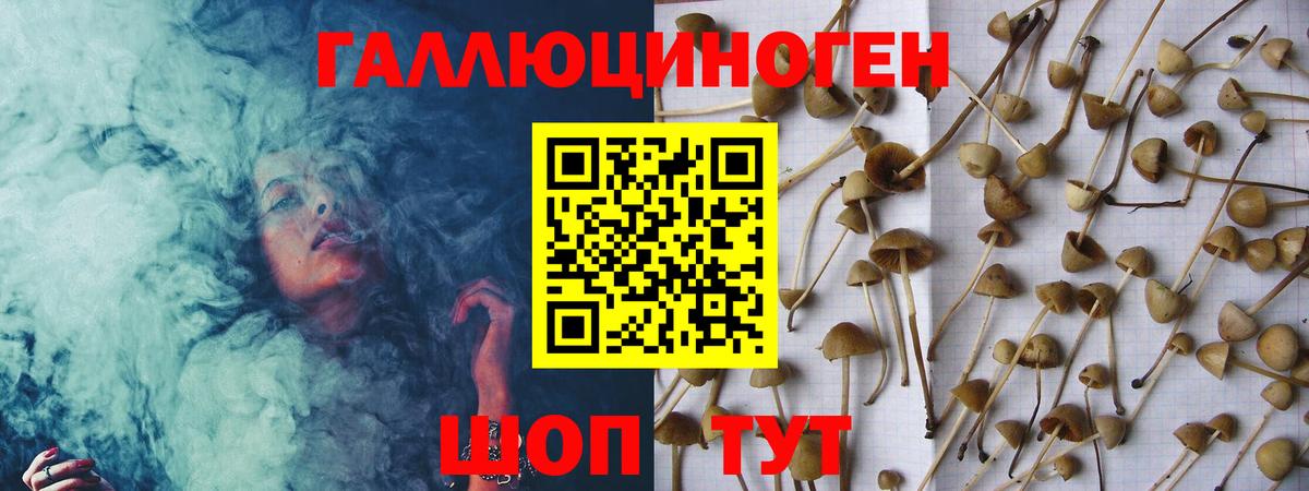 Нижневартовск  где найти наркотики  Вход с VPN  Псилоцибиновые грибы Cubensis 
